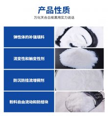 沉淀法二氧化硅TH-600的图片