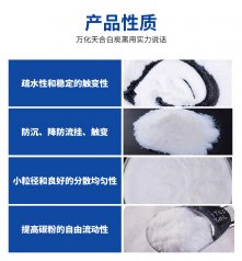 沉淀法二氧化硅TH-805的图片
