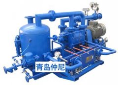 2BE1 303~405水环式真空泵/压缩机的图片