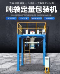 吨袋包装机DCS-1000的图片