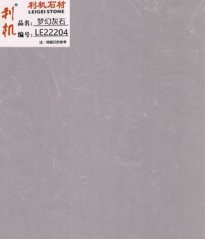 LE22204的图片