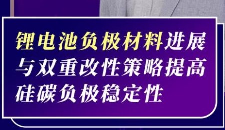 【会议报告】锂电池负极材料进展与双重改性策略提高硅碳负极稳定性