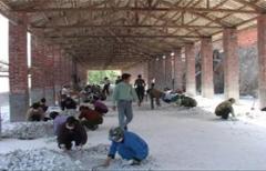 供应油漆涂料用硅灰石的图片