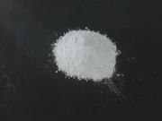 广西双飞粉，南宁双飞粉的图片