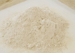 硅藻土填料与载体的图片