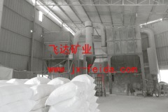 重钙粉1250目的图片