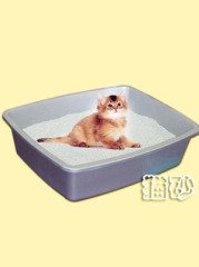 科帝欧猫砂的图片