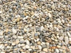 鹅卵石3-5CM的图片
