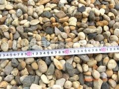 鹅卵石8-16MM的图片