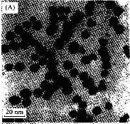 纳米钯黑 10nm 99.9%的图片