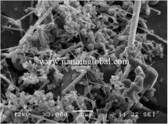 碳化硅晶须 100nm 99.9% 的图片