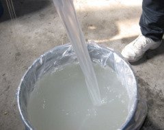 石墨乳的图片