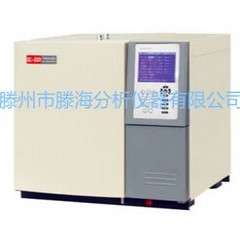 腐蚀性气体氟化物分析气相色谱仪的图片