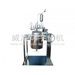 10L 升降翻转反应釜的图片