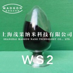 纳米二硫化钨的图片