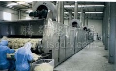 DWC系列脱水蔬菜带式干燥机的图片